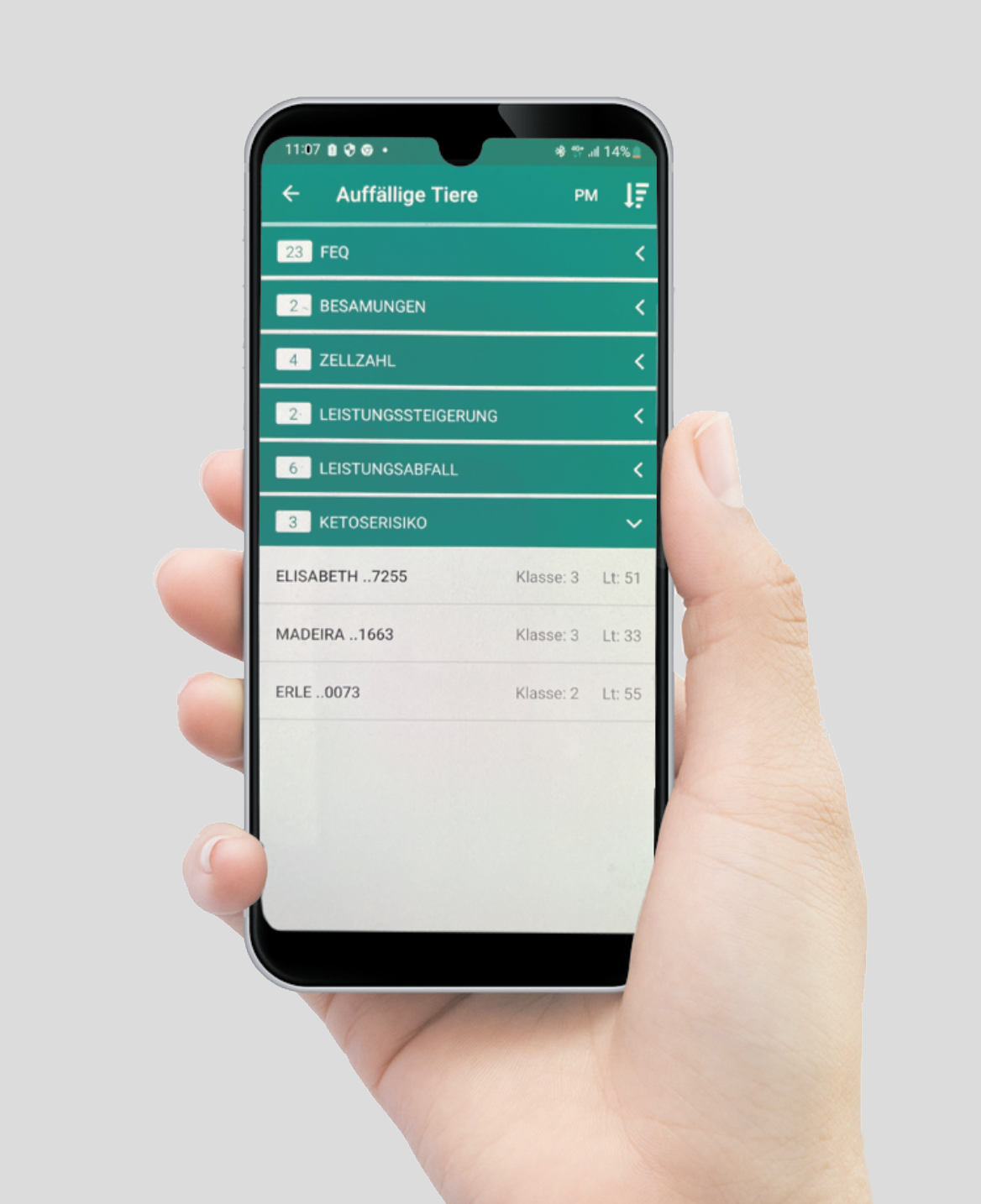 Ketose bei Kühen: Gut beraten mit der LKV-App.png © LKV und Adobe Stock